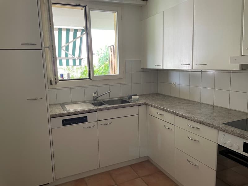 Grosszügige 4.5-Zimmerwohnung an familienfreundlicher Lage (8)