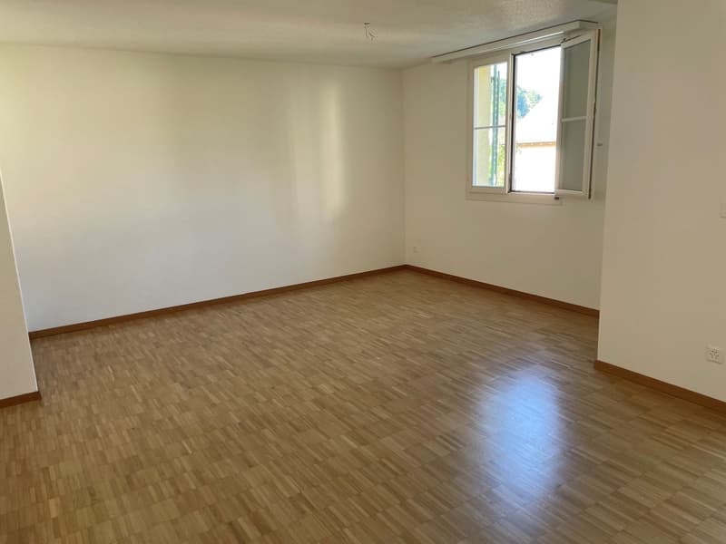 Grosszügige 4.5-Zimmerwohnung an familienfreundlicher Lage (3)