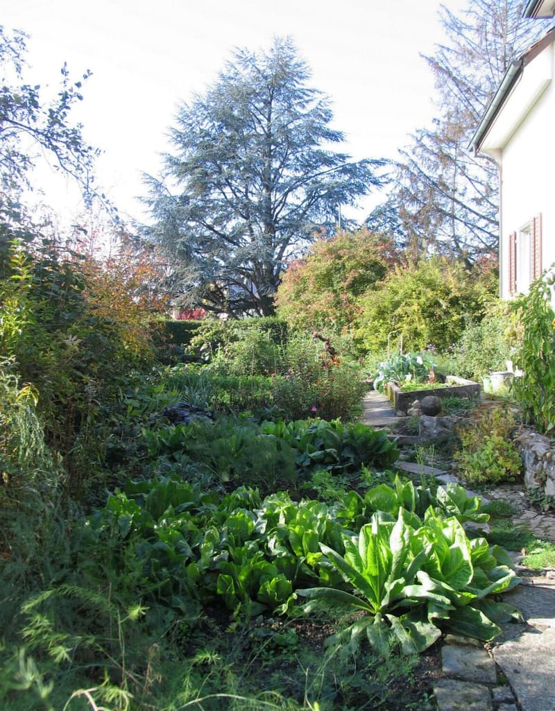 Gartenbereich