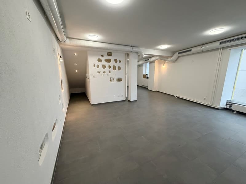 Beautiful commercial space in the center of Neuhausen (5)