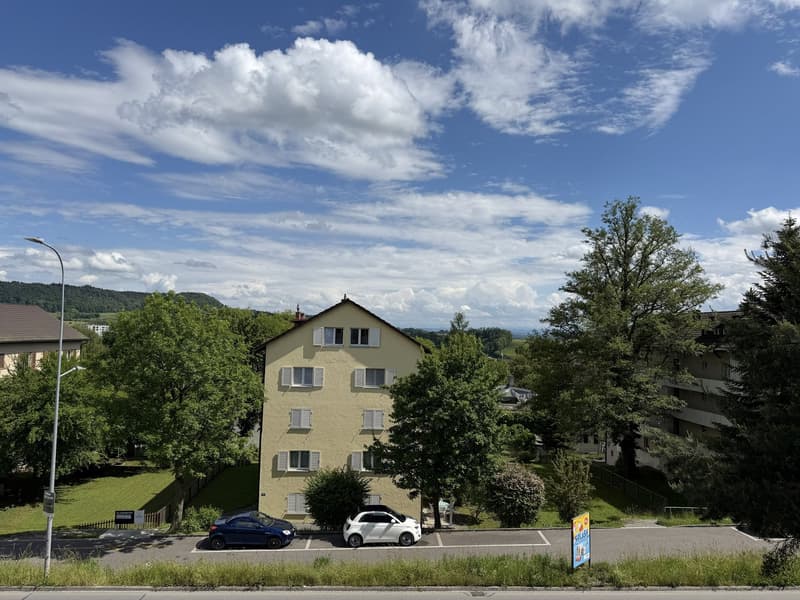 Spacious 3.5-room apartment with balcony and parking space in Neuhausen am Rheinfall (12)