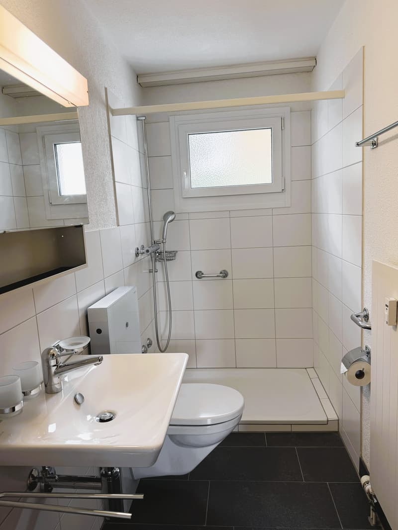 Spacious 3.5-room apartment with balcony and parking space in Neuhausen am Rheinfall (7)