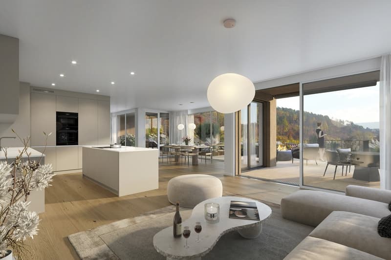 Nouvel appartement de charme attique 4,5 pièces avec vue à Schaffhausen (2)