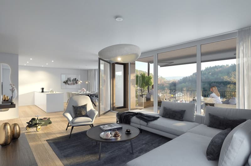Nuovo, estremamente confortevole appartamento di 4,5 locali a Sommerhalde a Schaffhausen (3)