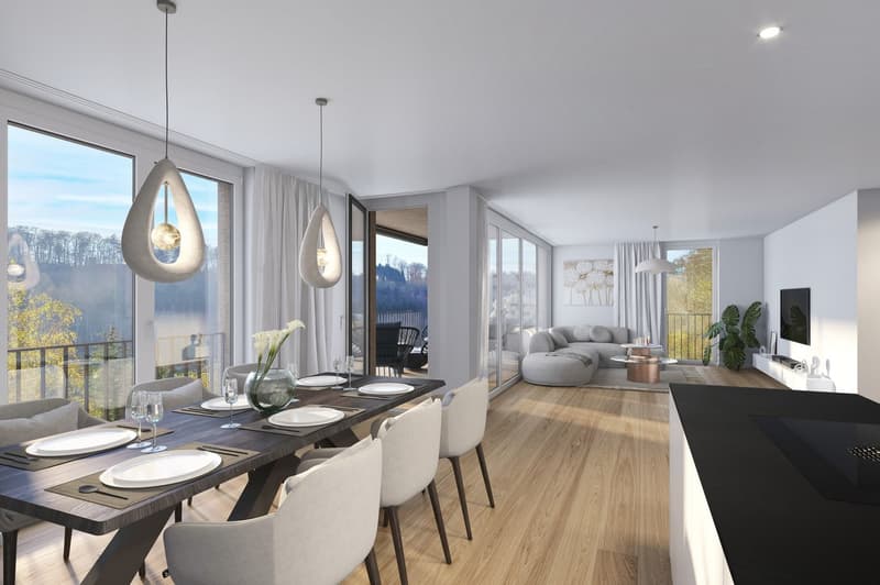 Nuovo, estremamente confortevole appartamento di 4,5 locali a Sommerhalde a Schaffhausen (2)