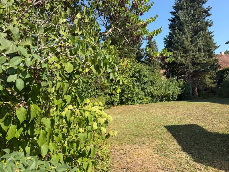 Charmantes, gepflegtes 7.5-Zimmer-Einfamilienhaus, freistehend, an ruhiger, schöner Lage in Rafz (18)