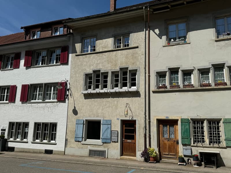 7.5-Zimmer-Stadthaus, mit historischen Details und vielen Nutzungsmöglichkeiten (1)