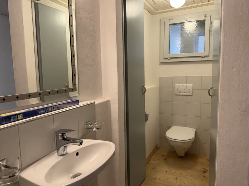 7.5-Zimmer-Stadthaus, mit historischen Details und vielen Nutzungsmöglichkeiten (12)
