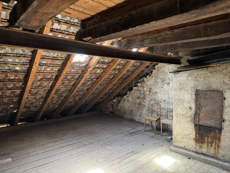 7.5-Zimmer-Stadthaus, mit historischen Details und vielen Nutzungsmöglichkeiten (17)