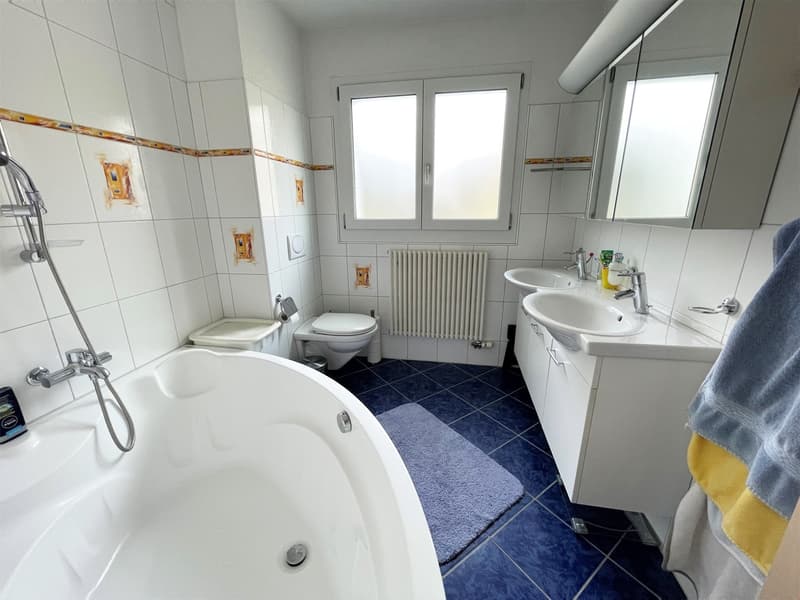 Zentrale Wohnung mit Eigentumsstandard (13)