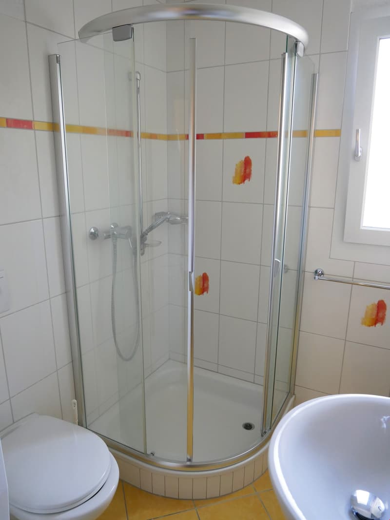 Zentrale Wohnung mit Eigentumsstandard (14)
