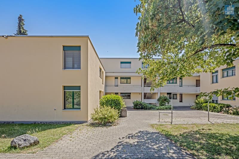 2_5_Zimmer_Parterrewohnung_Hotzenweidstrasse_49_Pfäffikon_Zugang