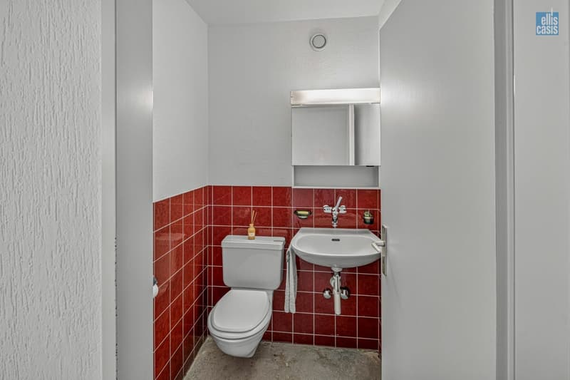 4_5_Zimmer_Gartenwohnung_Hotzenweidstrasse_49_Pfäffikon_WC