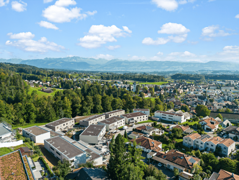 Hinblick Hinwil - Modern Single Apartment for Rent (6)