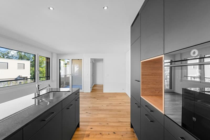 Hinblick Hinwil - Modern Single Apartment for Rent (2)