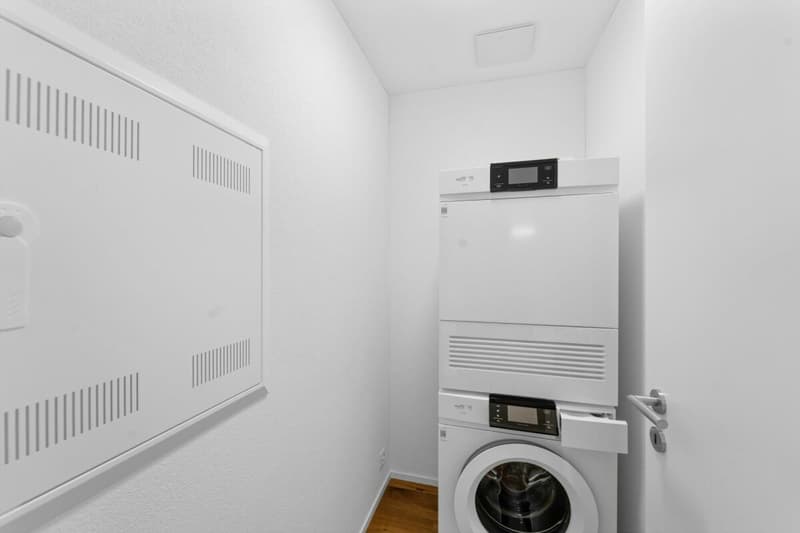 Hinblick Hinwil - Modern Single Apartment for Rent (5)
