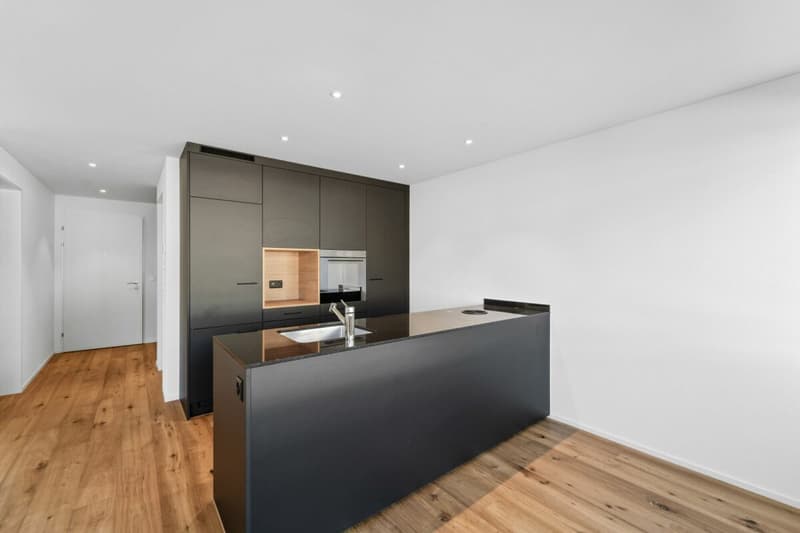 Hinblick Hinwil - Modern Single Apartment for Rent (1)