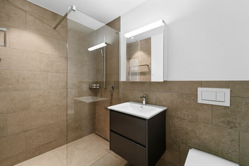 Hinblick Hinwil - Modern Single Apartment for Rent (3)