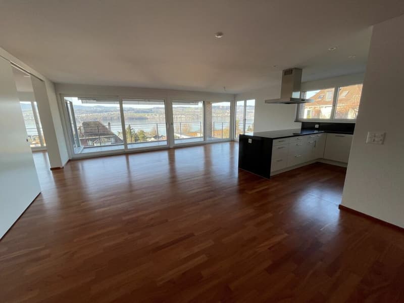 Exclusive apartment with beautiful lake view (3)