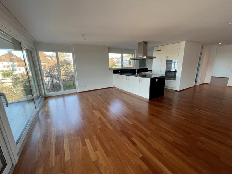 Exclusive apartment with beautiful lake view (2)