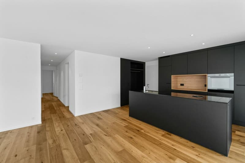 Hinblick Hinwil - Stilvolle Wohnung in ruhiger Umgebung (2)