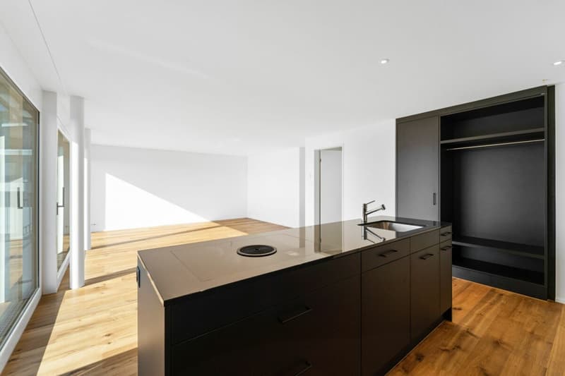 Hinblick Hinwil - Stilvolle Wohnung in ruhiger Umgebung (4)