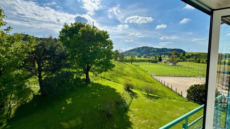 Aussicht ins Grüne <br>von Küche + Wohnzimmer
