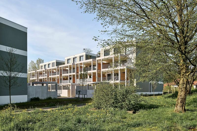 moderne 3.5 Zi.-Wohnung im Wohnquartier Blumenau (1)