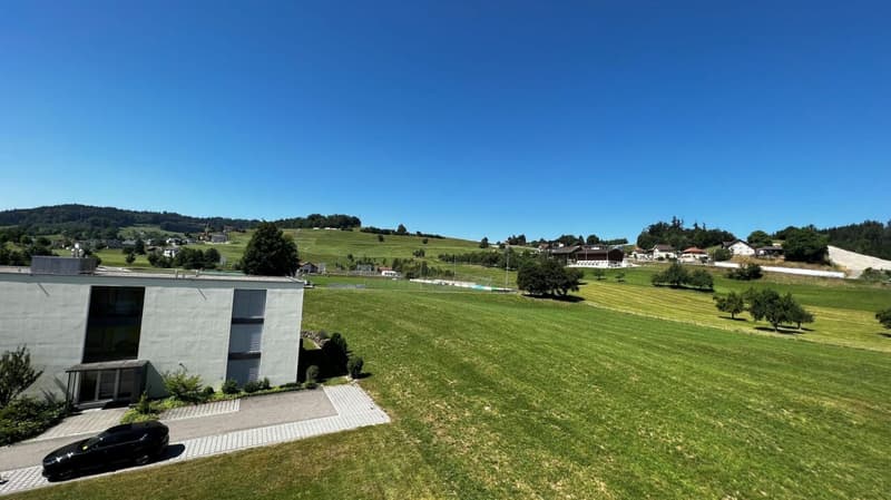 Blick ins Grüne