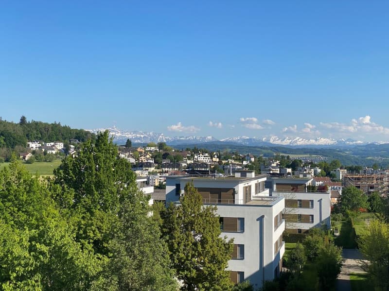 Attractive 4.5 room ground floor apartment at Hofberg (5)