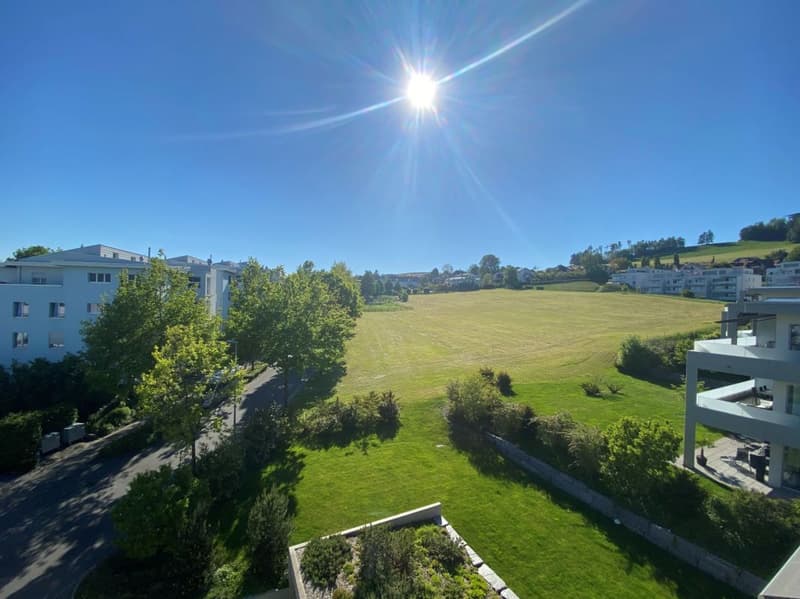 Attractive 4.5 room ground floor apartment at Hofberg (2)