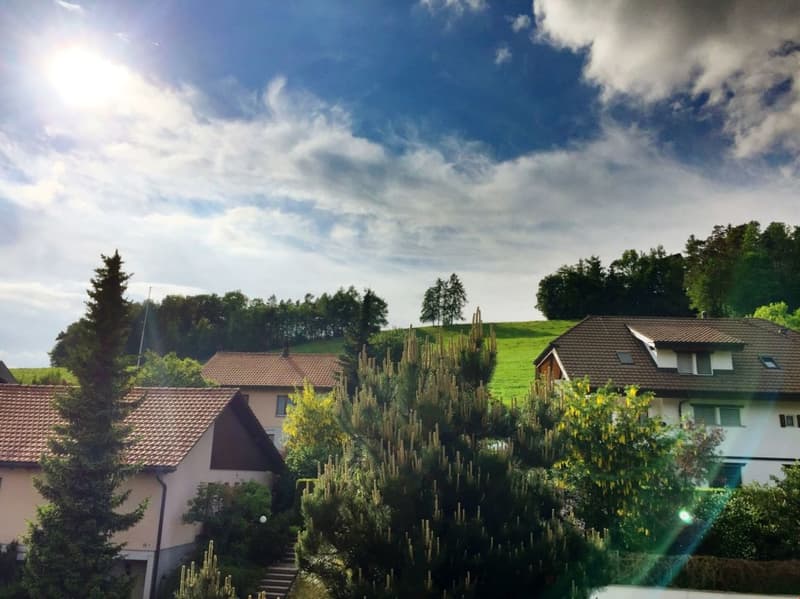 Blick zum Hofberg