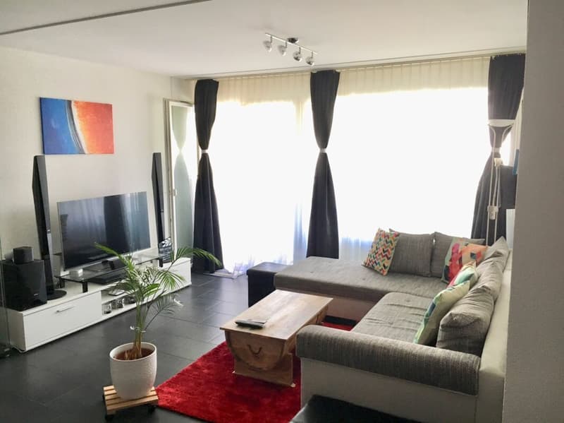 Wohnzimmer (Wohnbeispiel)