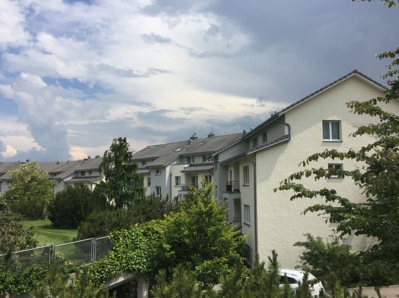 schöne 3.5 Zi.-Parterrewohnung in ruhigem Wohnquartier (4)