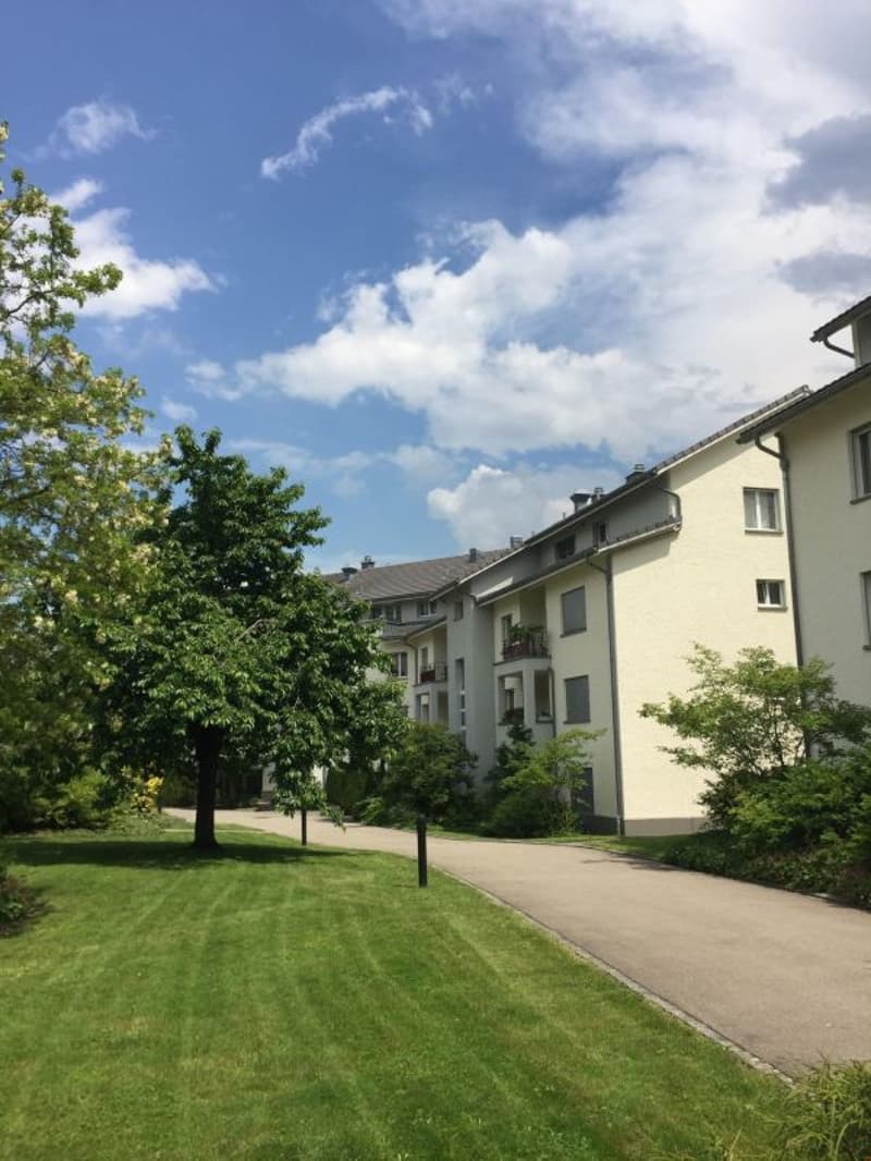 schöne 3.5 Zi.-Parterrewohnung in ruhigem Wohnquartier (3)