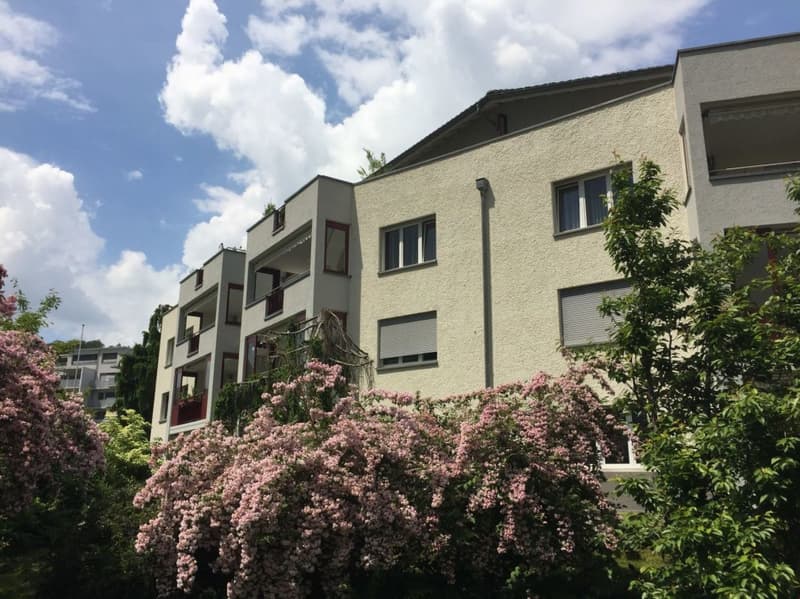 schöne 3.5 Zi.-Parterrewohnung in ruhigem Wohnquartier (1)