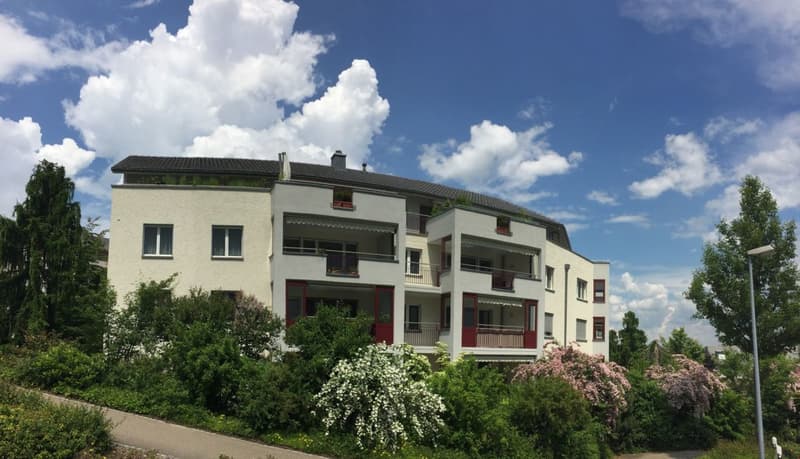 schöne 3.5 Zi.-Parterrewohnung in ruhigem Wohnquartier (2)