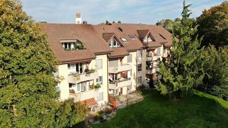 gemütliche 4.5 Zi.-Dachwohnung mit sonnigem Balkon (1)