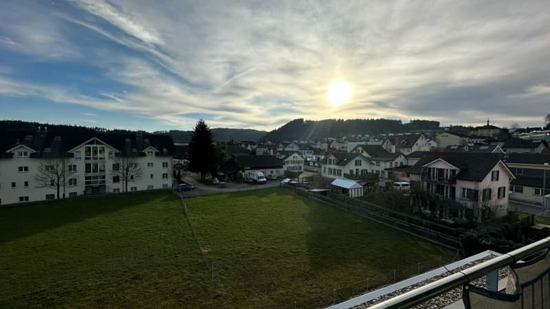 luxuriöse 4.5 Zi.-Traum-Attikawohnung mit beeindruckender Terrasse (3)