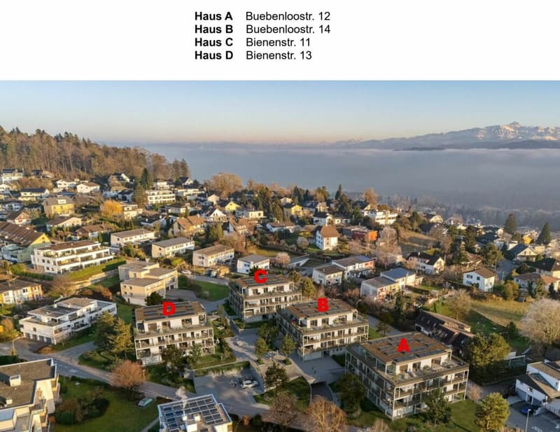 Erstvermietung "Buebenloo" - 3.5 Zi.-Parterrewohnung (1)