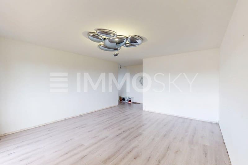 Grand espace salon