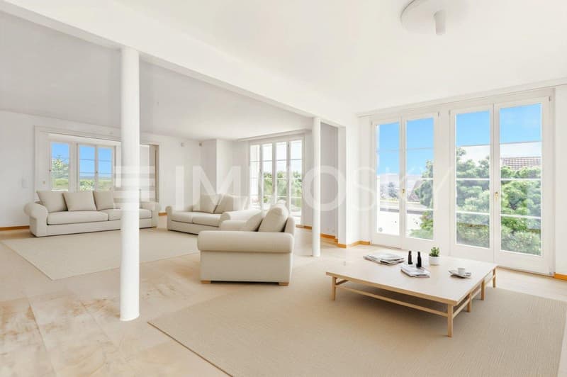Salon lumineux (Home staging)