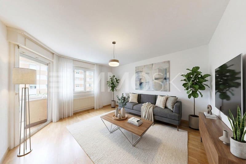 Grand salon d env 20m2 (Home Staging)