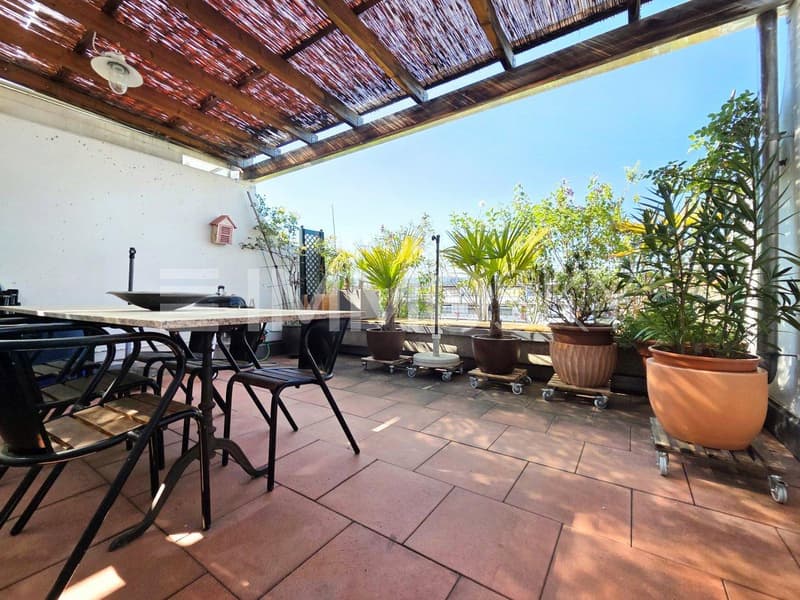 Die mediterrane Terrasse  ist ein Sommer Highlight