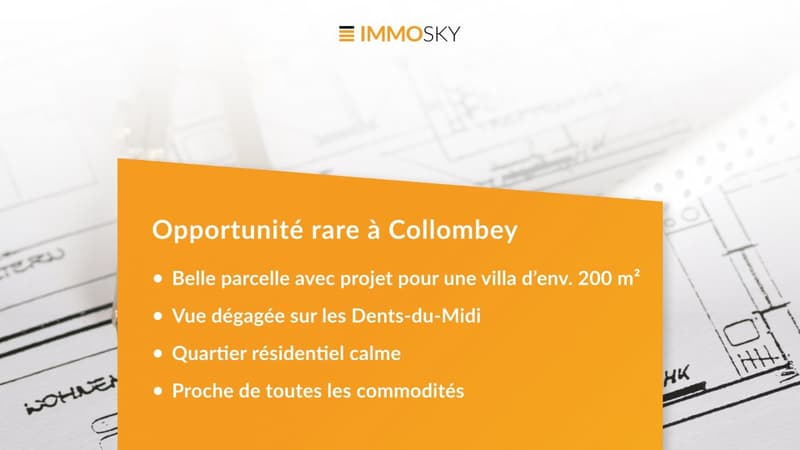 Bannière ImmoSky