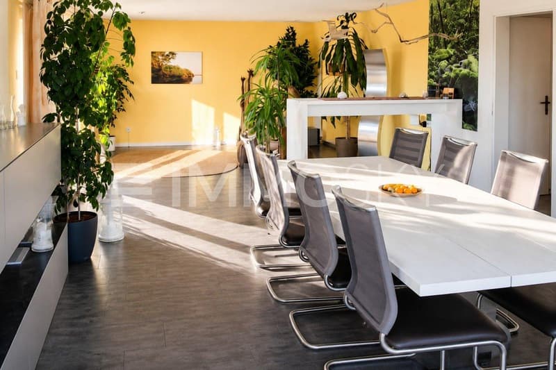 Grosses Wohn- und Esszimmer