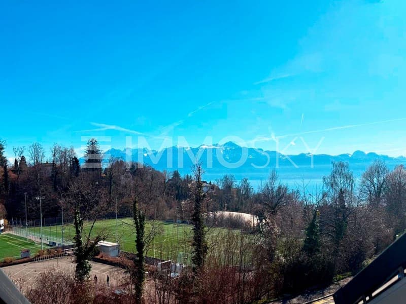 Magnifique vue depuis les combles