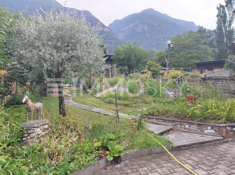 Giardino piantumato