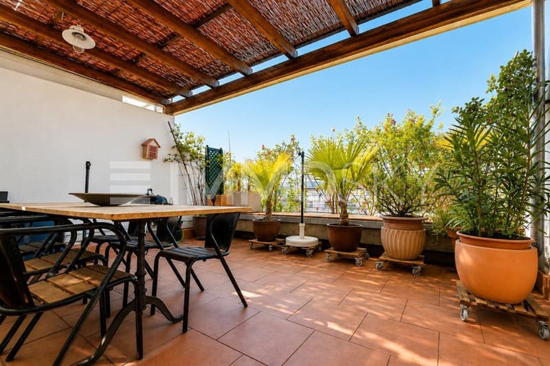 Die mediterrane Terrasse ist ein Sommer Highlight