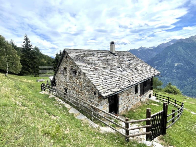 Pace, sole e tranquillità